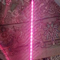 لامپ چراغ led نور روشنایی اکواریوم 8رنگ t4|لوازم جانبی حیوانات|تهران, عبدل‌آباد|دیوار