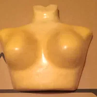 مانکن سینه کوتاه