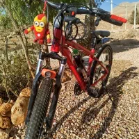 دوچرخه ۲۶ آلن مکس حرفه ای