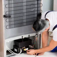 سرما دوباره زنده میشه اگر بخواین