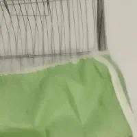 پرنده|پرنده|سیرجان, |دیوار