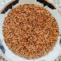 فروش کنجد محلی