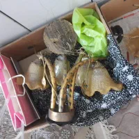 سلام سه عددلوستر|لوستر و چراغ آویز|اصفهان, گلستان|دیوار