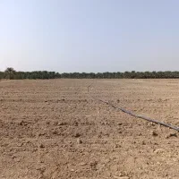 اجاره زمین کشاورزی حاصل خیز|اجارهٔ دفتر صنعتی، کشاورزی، تجاری|بلوک, |دیوار