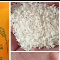 برنج عنبر بو شوشتر یاران