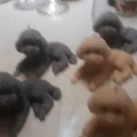 شمع های دست ساز و معطر|صنایع دستی و سایر لوازم تزئینی|تهران, سازمان آب|دیوار