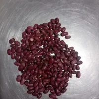 لوبیا قرمز بوجاری