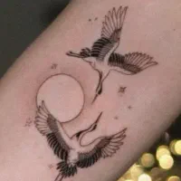 تتو بدن|آرایشی، بهداشتی، درمانی|رشت, استادسرا|دیوار