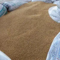 گندم تحویل  با نیسان|خوردنی و آشامیدنی|چناران, |دیوار