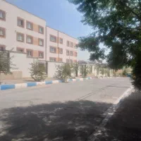 اقاقیا-سند-تک-برگ