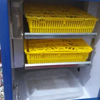 دستگاه جوجه کشی ۸۴ تایی بلدر چین دماوند|لوازم جانبی حیوانات|نکا, |دیوار