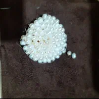 مروارید اصل آب شور