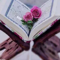 مجله سید افغانی