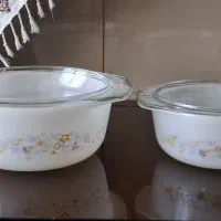 قابلمه ارکوزین ( چینی ویکتوریا)
