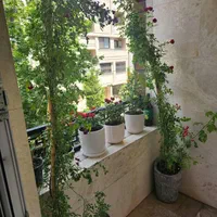 باغبانی وسمپاشی کل تهران و حومه با ضمانت و فاکتور|خدمات باغبانی و درختکاری|تهران, مهران (سیدخندان)|دیوار