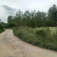 زمین ۲۸۵مترمربع