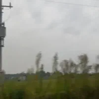 سیم کارت رند و همزاد