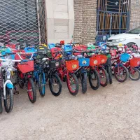 فروشگاه دوچرخه قرایی|دوچرخه، اسکیت، اسکوتر|تربت‌حیدریه, پایانه مسافربری تربت حیدریه|دیوار