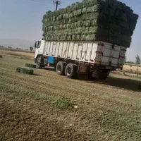 یونجه|لوازم جانبی حیوانات|اصفهان, سعادت‌آباد|دیوار