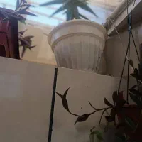 گل وگلدان ۷۰۰
