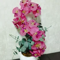 گل ارکیده