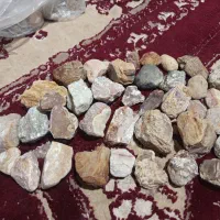 سنگ|کلکسیون اشیاء عتیقه|بندر کنگان, |دیوار