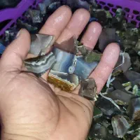 سنگ راف انگشتر معدنی عقیق سلیمانی شجر دار