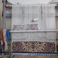 قالی باداروکلک