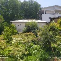 سیمان کردستان