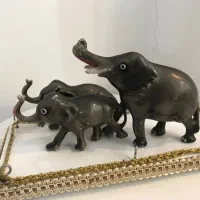 فیل مادر بچه