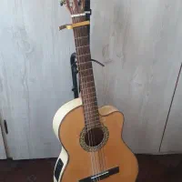 گیتارپیکاپ خور