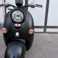 پاکشتی وینو