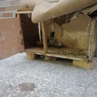کفتر،،