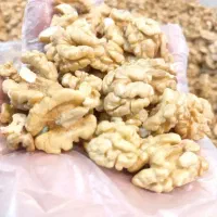 گردو کاغذی بوانات