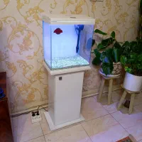 اکواریوم شرکتی اکوا با پایه شیشه خم DG400 لمسی