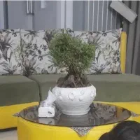 مبل ۷نفره تمیز وشیک