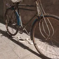دوچرخه.فروشی.مفت