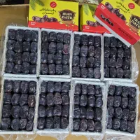 تعدادی مادر کارتن سفارشی خرما