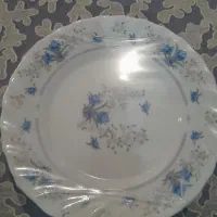 پلو خوری وپیش دستی نونو هر کدوم یک دست