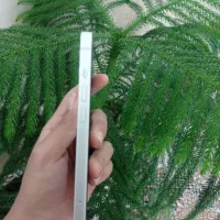 آیفون 13 نرمال|موبایل|مشهد, شهید قربانی|دیوار