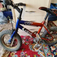 دوتادوچرخهبچهگانه|دوچرخه، اسکیت، اسکوتر|کاشان, ملا حبیبالله شریف|دیوار