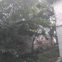 فروش ویلا قدیمی جنگلی|فروش زمین و ملک کلنگی|واجارگاه, |دیوار