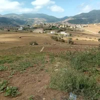 زمین ویلایی|فروش زمین و ملک کلنگی|مینودشت, |دیوار