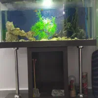 اکواریوم کامل با لوازم