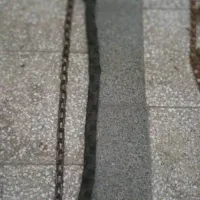 زنجیر|قطعات یدکی و لوازم جانبی|تهران, سوهانک|دیوار