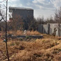 ۳۰۰ متر/برق وصل/تک برگ/ جابان دماوند