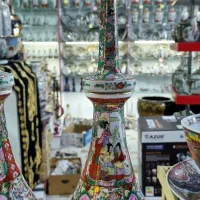 تنگ نیزه ای مرغی نیم متری نایاب