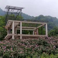 جوشکاری و لوله کشی گاز|خدمات پیشه و مهارت|فومن, |دیوار