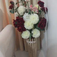 گل کنارسالنی درحدنو