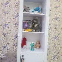 کتابخانه و بوفه نو نو